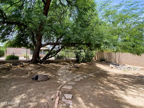 a view of a yard with plants and trees
