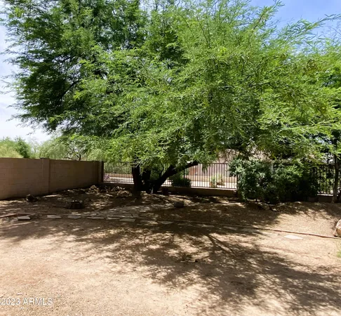 a backyard of a house with a tree and wooden fence