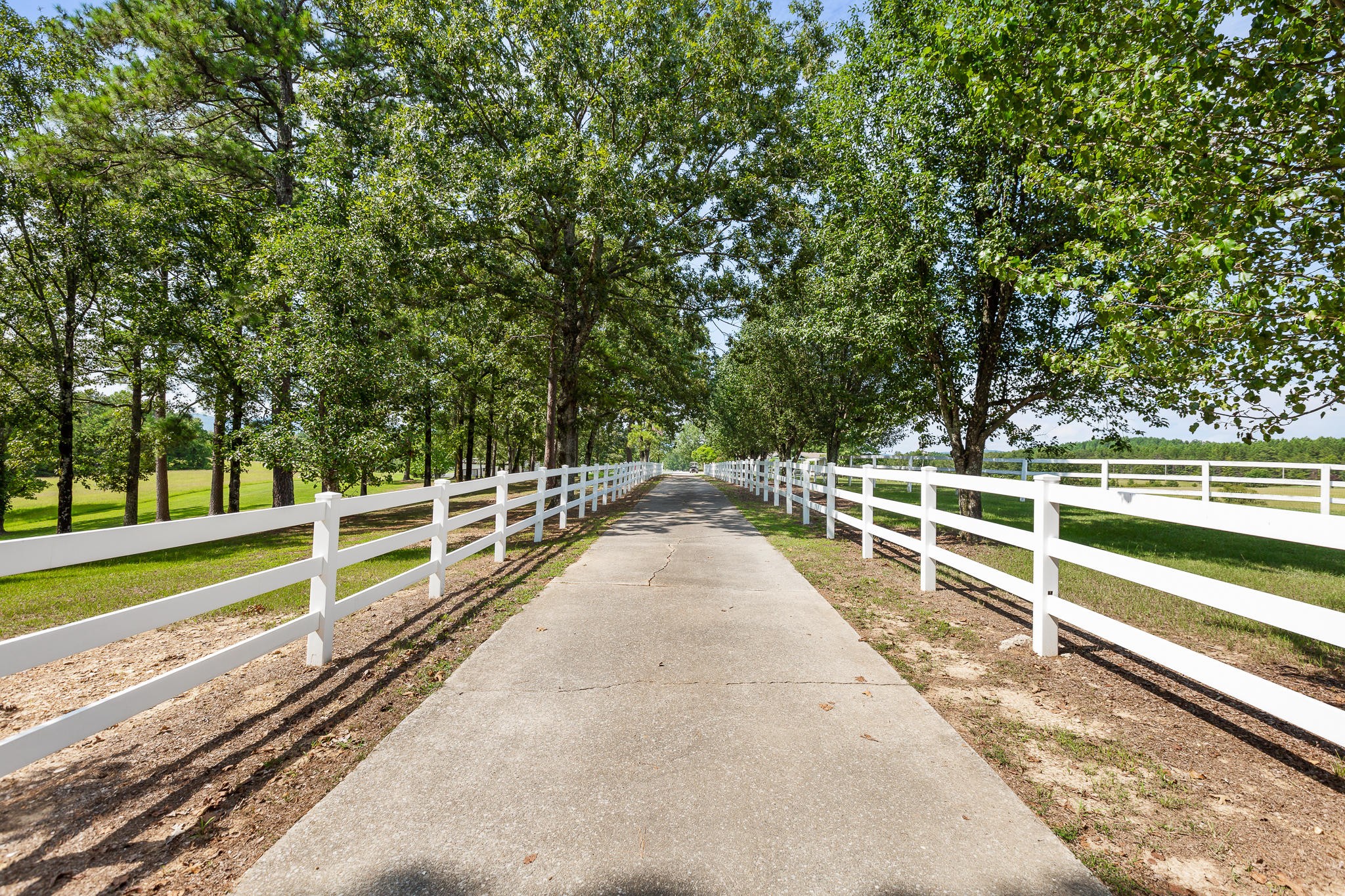 304 Southwest County 182 Road Cedar Bluff, AL 35959 - Photo 14 of 70 Gallery Image 14