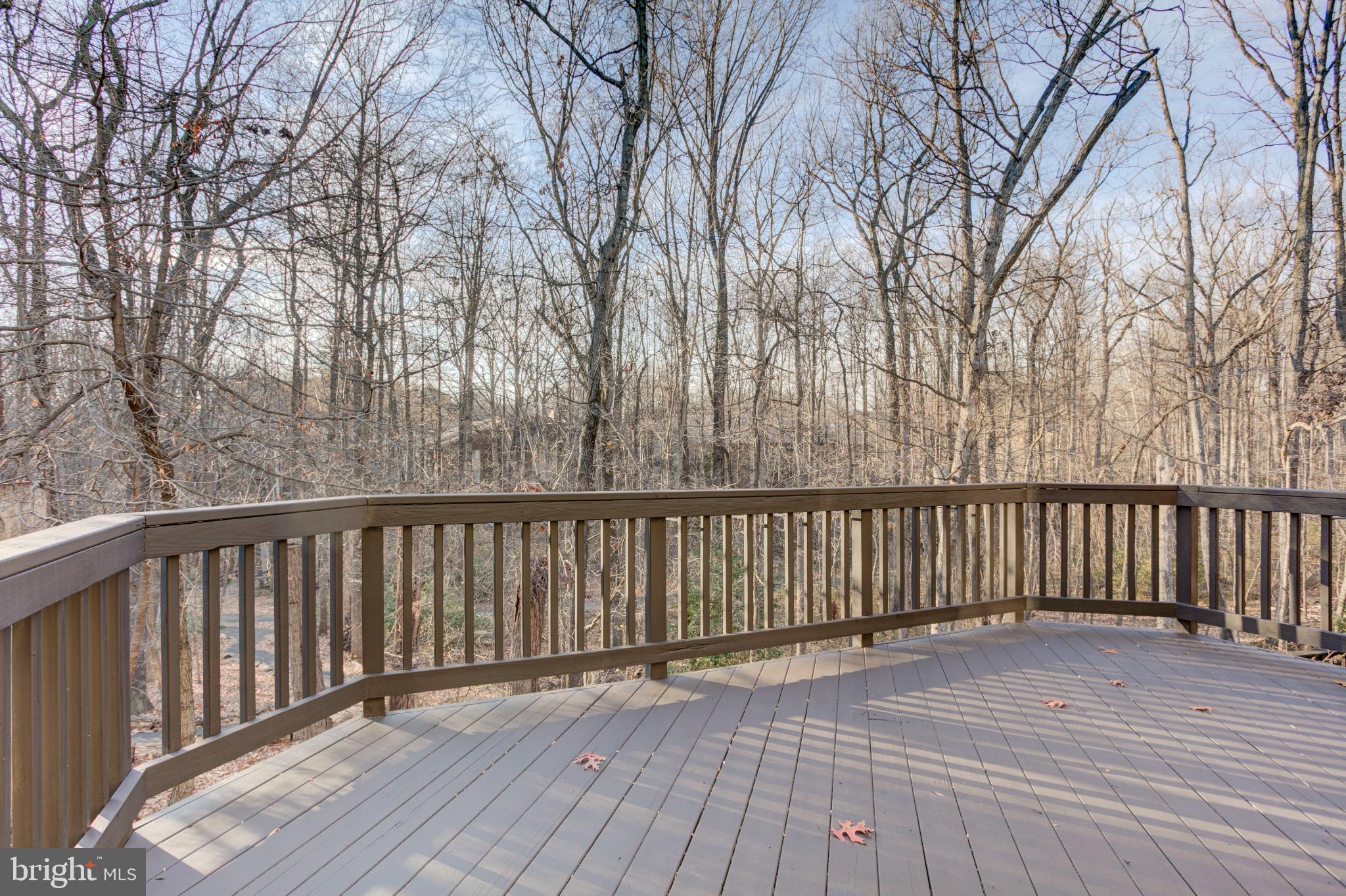 11908 Barrel Cooper Court Reston, VA 20191 - Photo 18 of 40 Serene deck overlooking tranquil woods.
