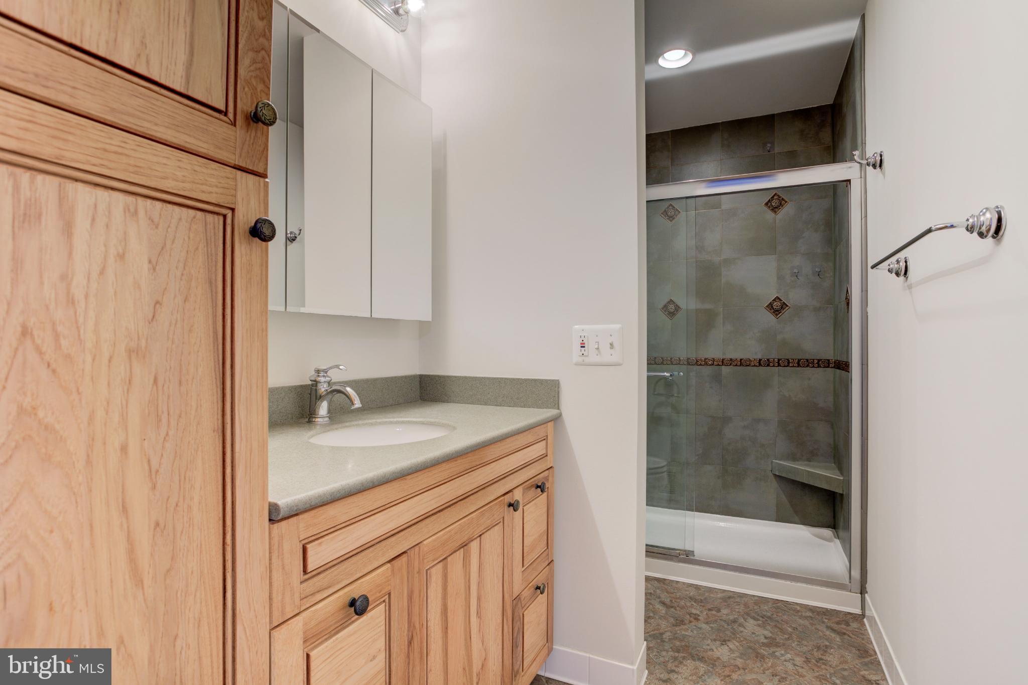 11908 Barrel Cooper Court Reston, VA 20191 - Photo 28 of 40 Modern bathroom with elegant finishes.