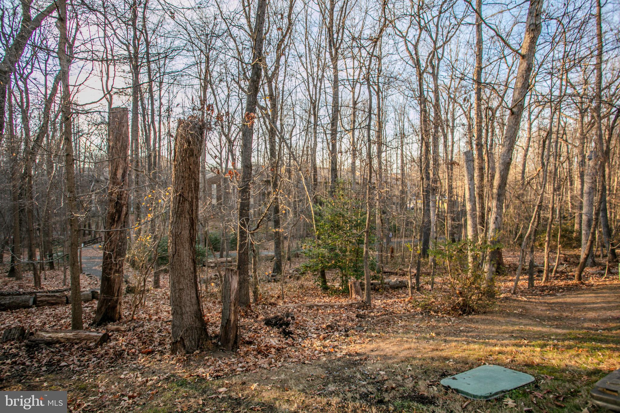 11908 Barrel Cooper Court Reston, VA 20191 - Photo 40 of 40