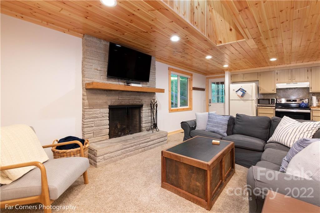 588 Thunderbird Trail Robbinsville, NC 28771 - Photo 14 of 20 a living room with furniture flat screen tv and a fireplace
