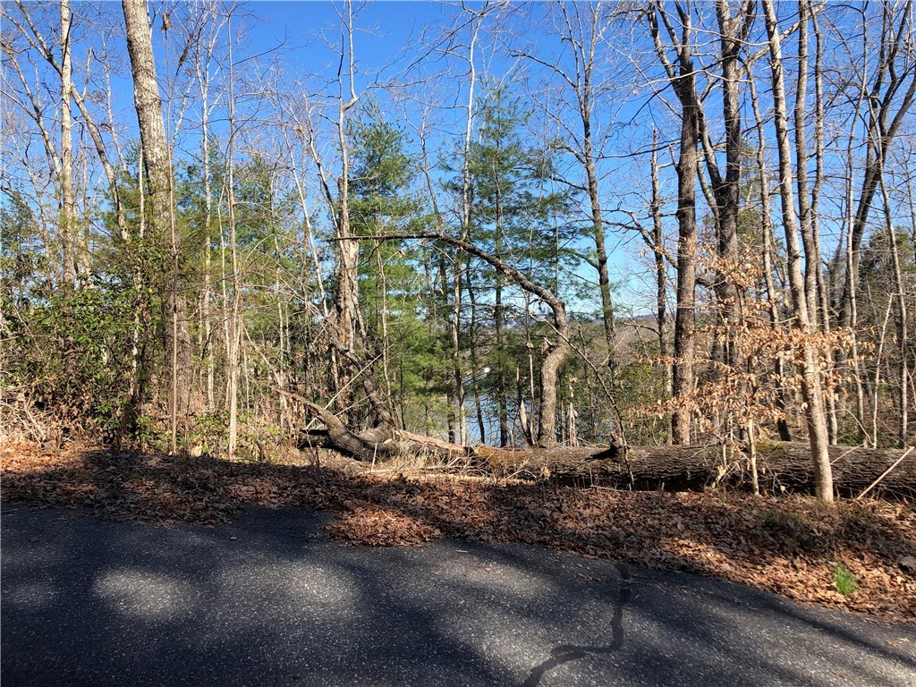 Lot 8 Lake Becky Road Mountain Rest, SC 29664 - Photo 1 of 23 Beautiful Lake Views