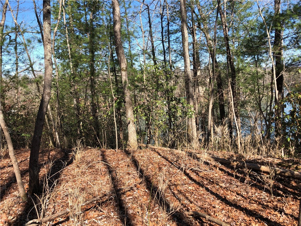 Lot 8 Lake Becky Road Mountain Rest, SC 29664 - Photo 11 of 23 Lot Has Mixed Trees