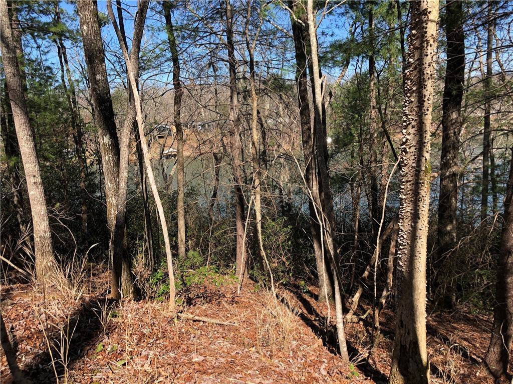 Lot 8 Lake Becky Road Mountain Rest, SC 29664 - Photo 12 of 23 Beautiful Views of Lake Becky