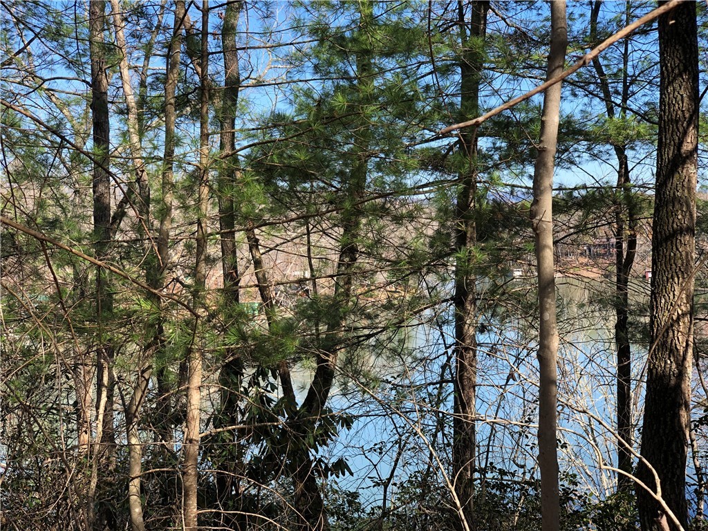 Lot 8 Lake Becky Road Mountain Rest, SC 29664 - Photo 16 of 23 Views of Lake Becky & Blue Ridge Mountains