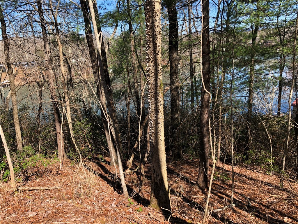 Lot 8 Lake Becky Road Mountain Rest, SC 29664 - Photo 2 of 23 Gallery Image 2