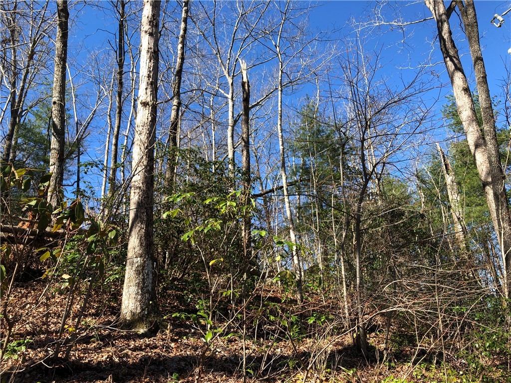 Lot 8 Lake Becky Road Mountain Rest, SC 29664 - Photo 7 of 23 Lot Slopes with Big Lake/Mountain Views