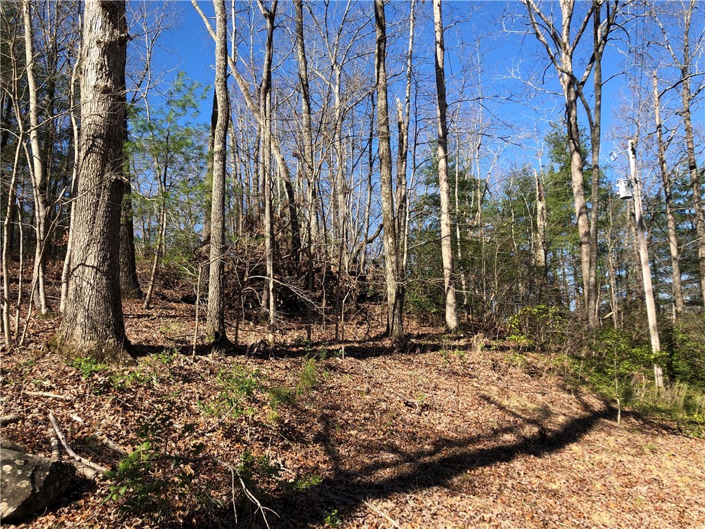 Lot 8 Lake Becky Road Mountain Rest, SC 29664 - Photo 8 of 23 View from Adjacent Lot