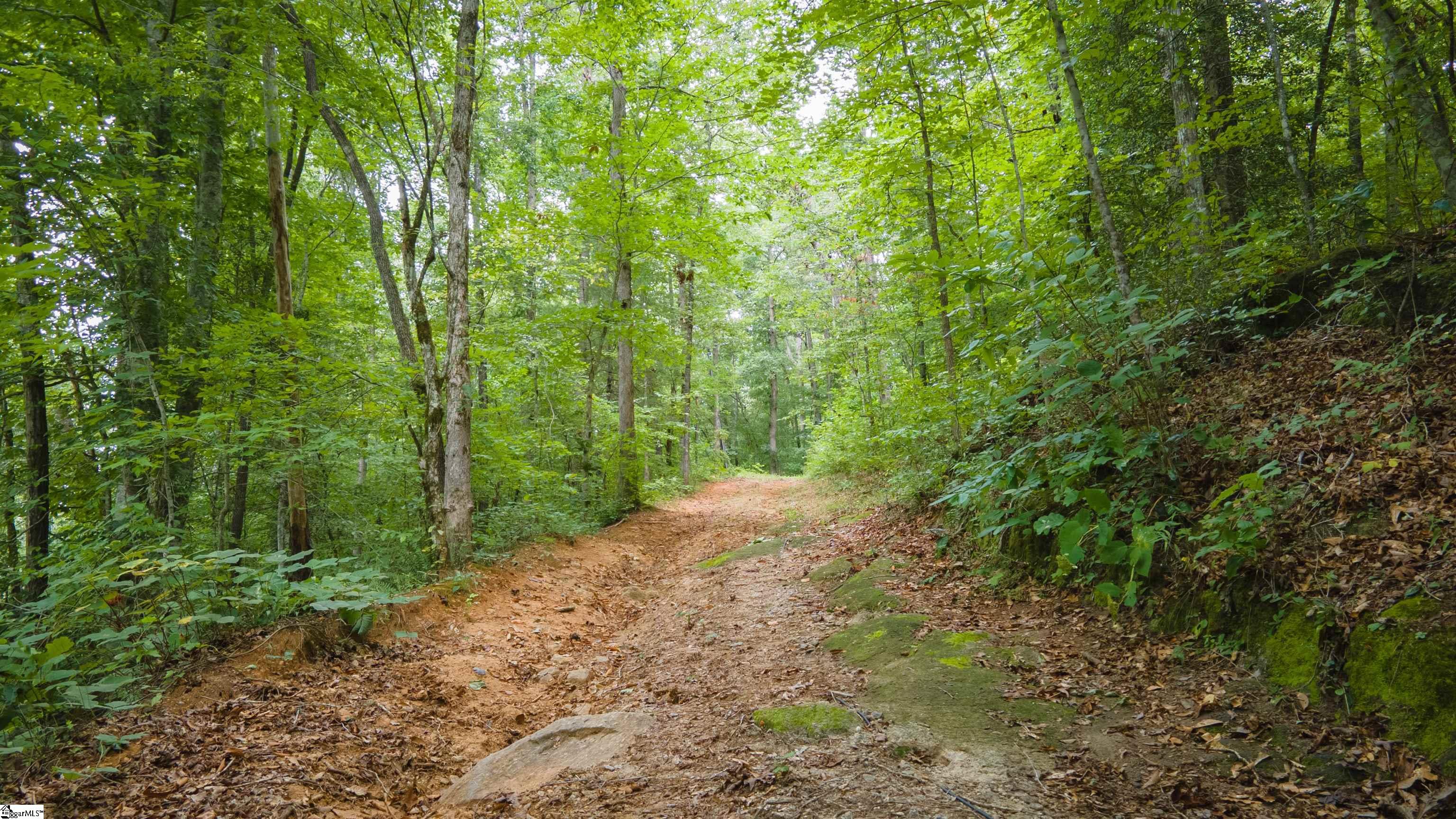 254 Long Shoals Road Marietta, SC 29661 - Photo 8 of 21 Gallery Image 8