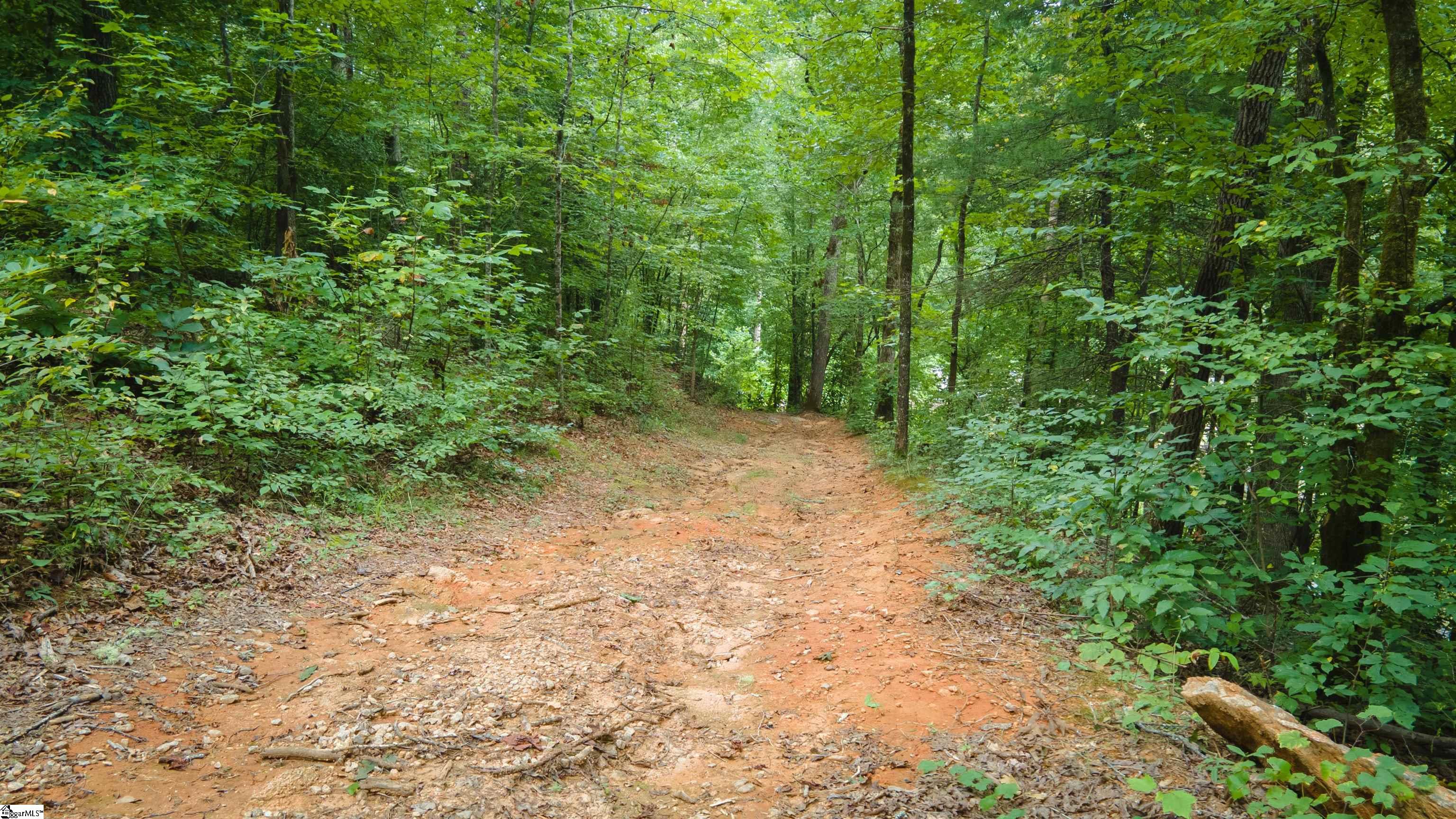 254 Long Shoals Road Marietta, SC 29661 - Photo 9 of 21 Gallery Image 9