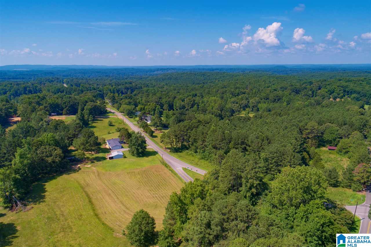 9259 Bradford Trafford Road Pinson, AL 35126 - Photo 8 of 38