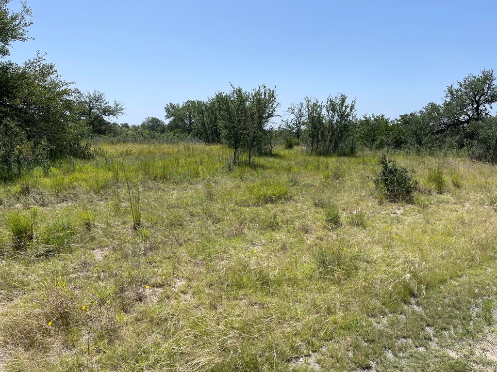 89 Summit Ridge Trail, Unit 89 Johnson City, TX 78636 - Photo 22 of 24 Gallery Image 22