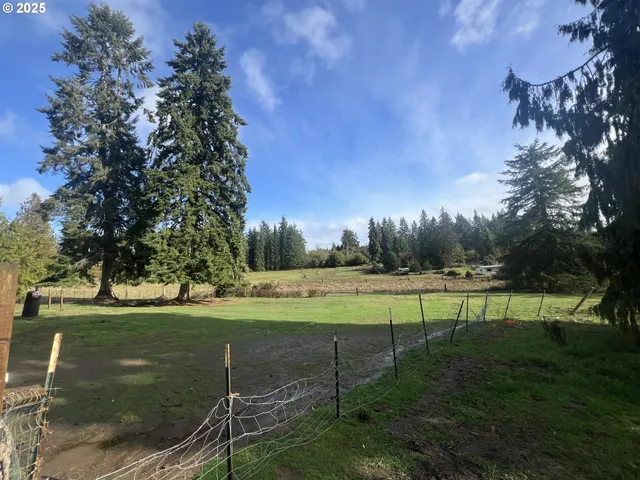 a garden view with a seating space