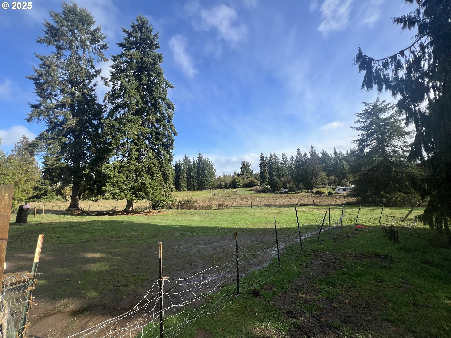 24853 Warren Road Rainier, OR 97048 - Photo 12 of 27 a view of an outdoor space and yard