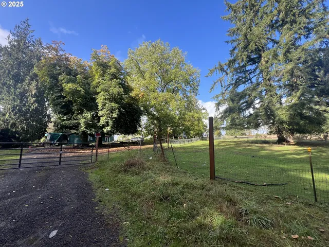 a view of a park that has large trees