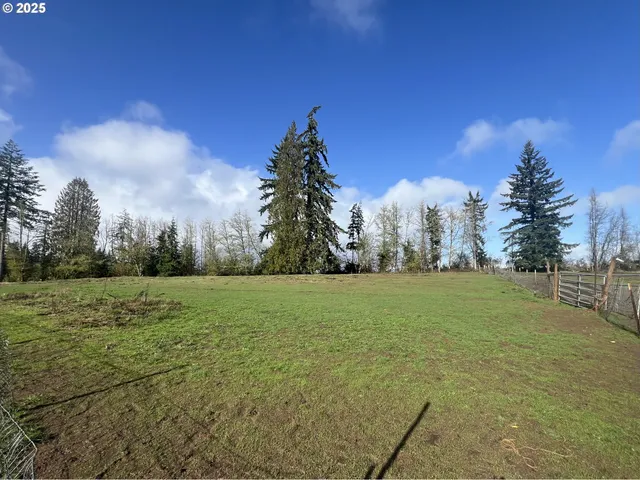 a view of a backyard with large trees