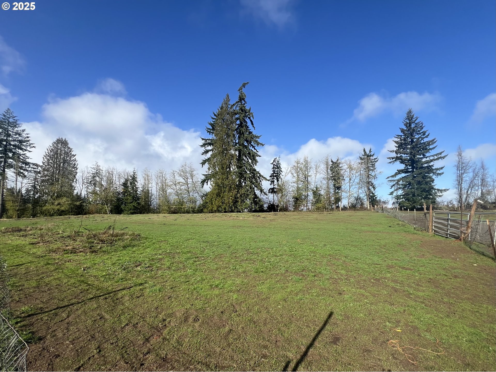 24853 Warren Road Rainier, OR 97048 - Photo 24 of 27 a view of outdoor space and yard