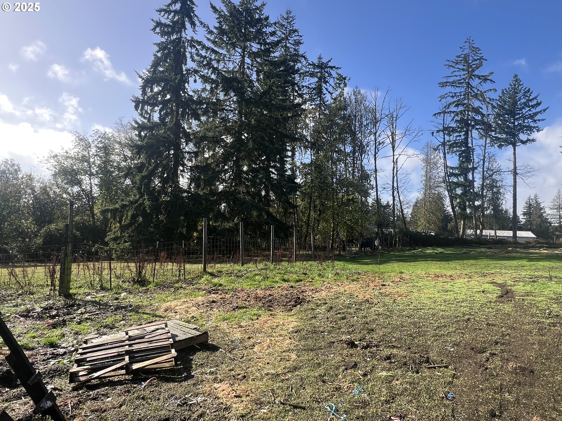 24853 Warren Road Rainier, OR 97048 - Photo 25 of 27 a view of a backyard with large trees
