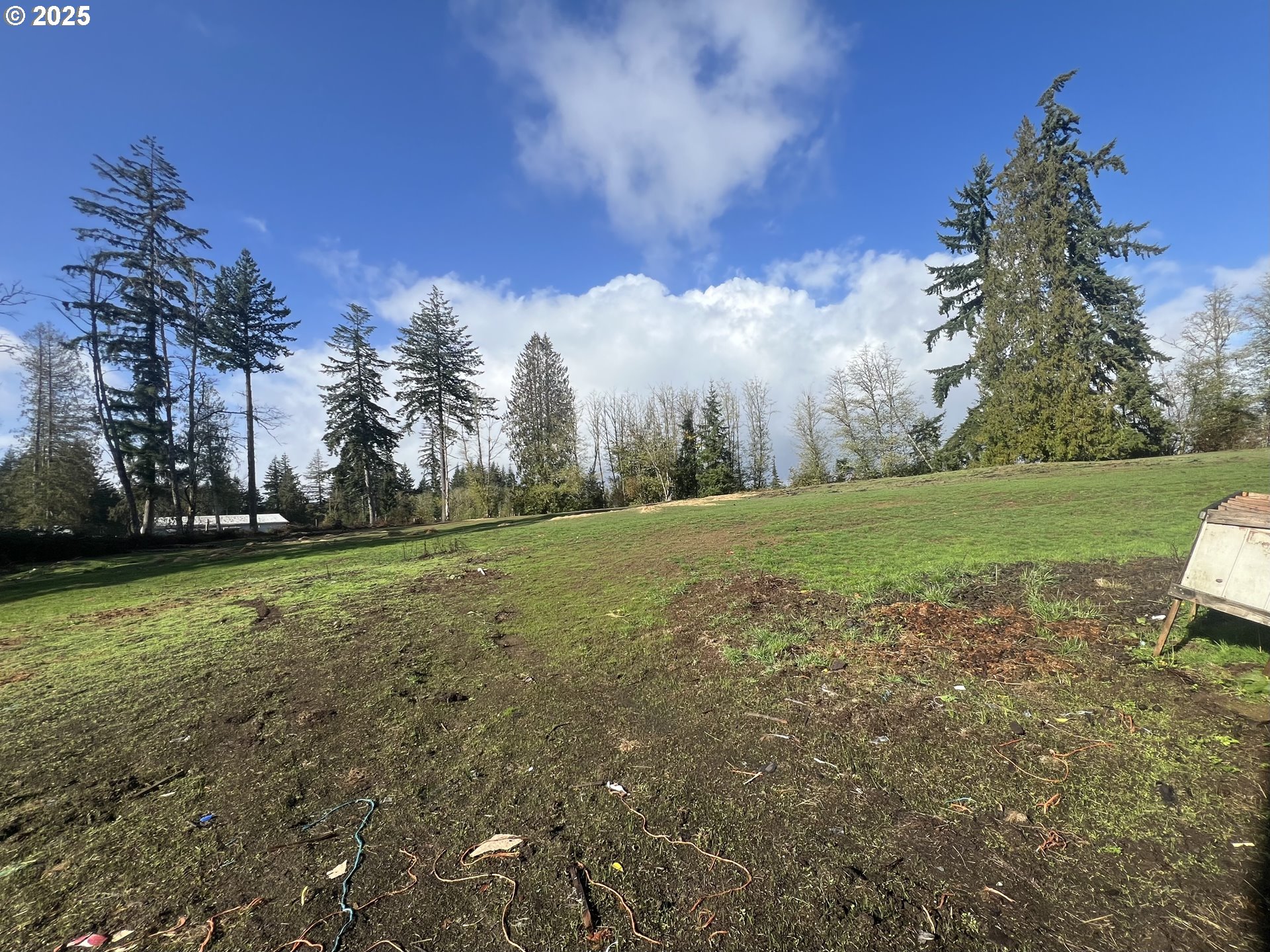 24853 Warren Road Rainier, OR 97048 - Photo 26 of 27 a view of a field with trees