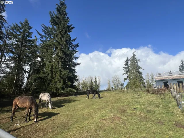 a view of a garage with wooden floors