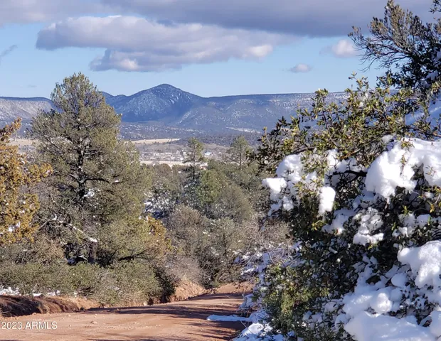 a view of a field with an ocean