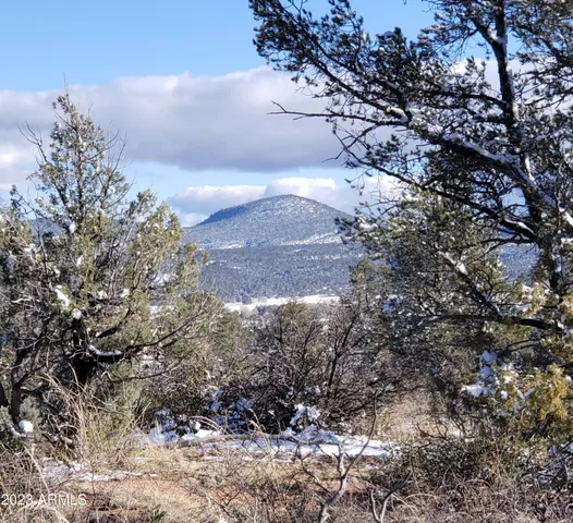 $117,000 | 4-r-4 North Ike Clark Parkway, Unit 4, Young, AZ 85554