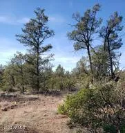 $117,000 | 4-r-4 North Ike Clark Parkway, Unit 4, Young, AZ 85554