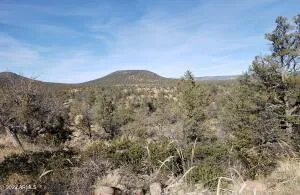 $117,000 | 4-r-4 North Ike Clark Parkway, Unit 4, Young, AZ 85554