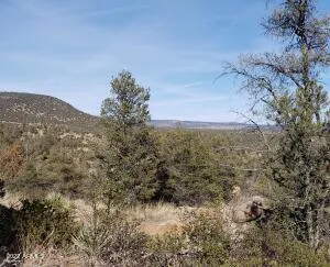 $117,000 | 4-r-4 North Ike Clark Parkway, Unit 4, Young, AZ 85554