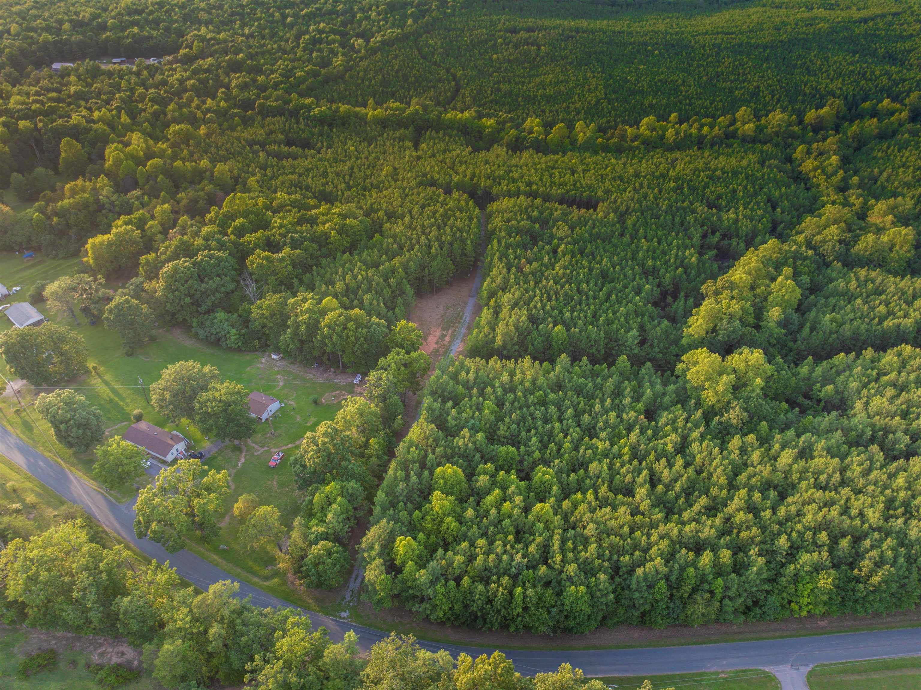 0 Mountain Cut Road Appomattox, VA 24522 - Photo 11 of 55 Gallery Image 11