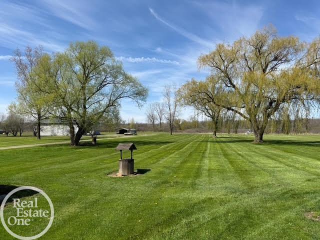 15594 Bryce Road Capac, MI 48014 - Photo 3 of 35