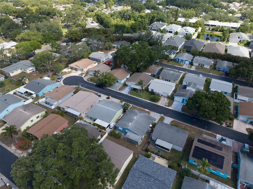 1009 Crane Court Dunedin, FL 34698 - Photo 41 of 63