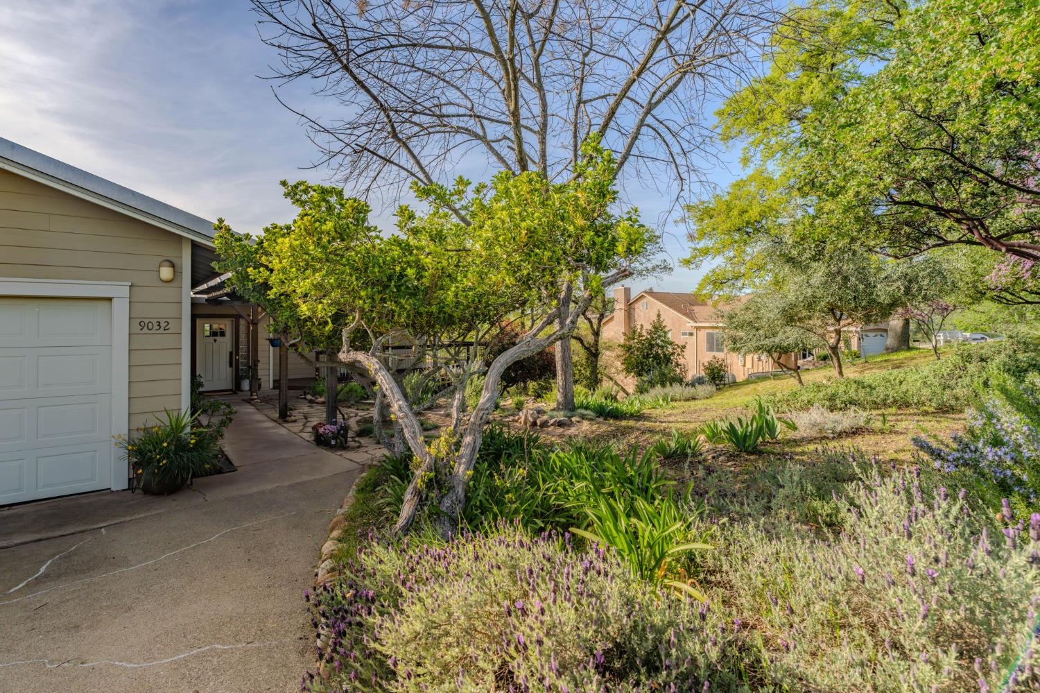 9032 Montero Road Valley Springs, CA 95252 - Photo 59 of 99