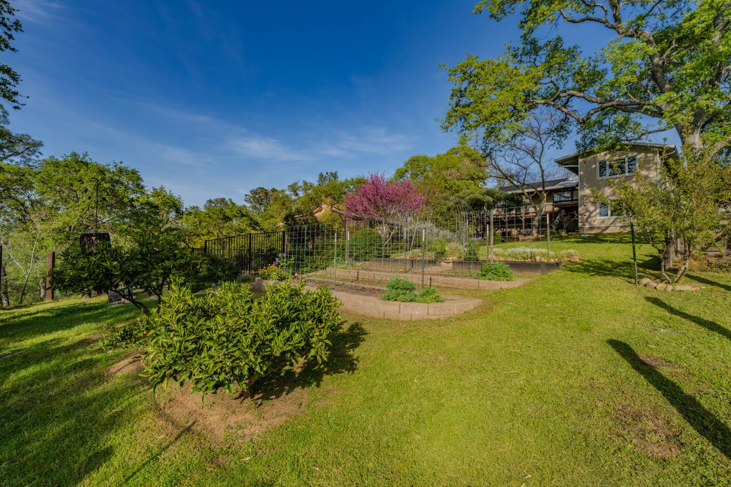 9032 Montero Road Valley Springs, CA 95252 - Photo 71 of 99