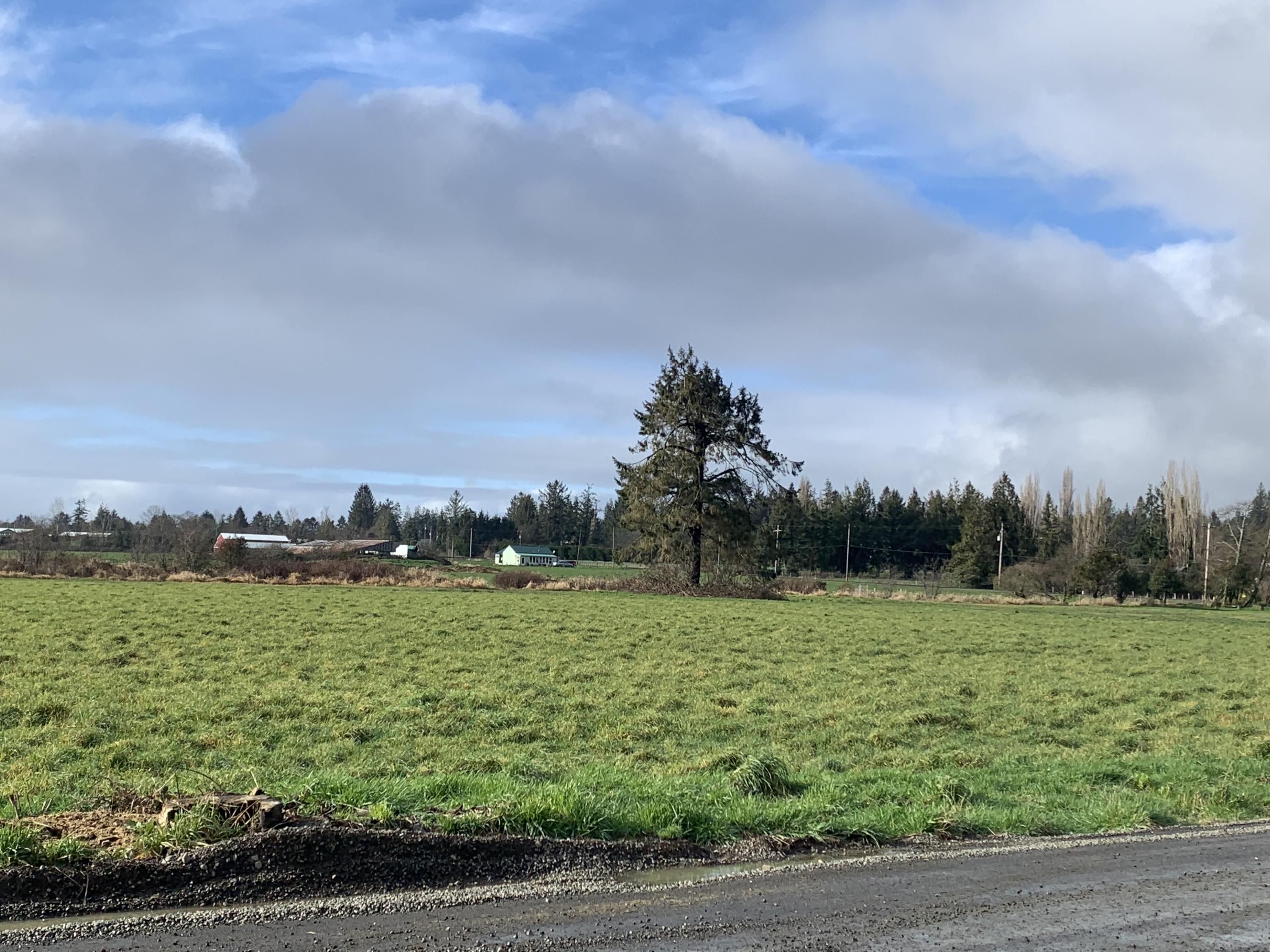 502 Hathaway Road Tillamook, OR 97141 - Photo 3 of 6 IMG-6999