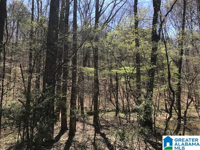 O Ridge Road, Unit 10 ACRES Odenville, AL 35120 - Photo 5 of 18 Gallery Image 5