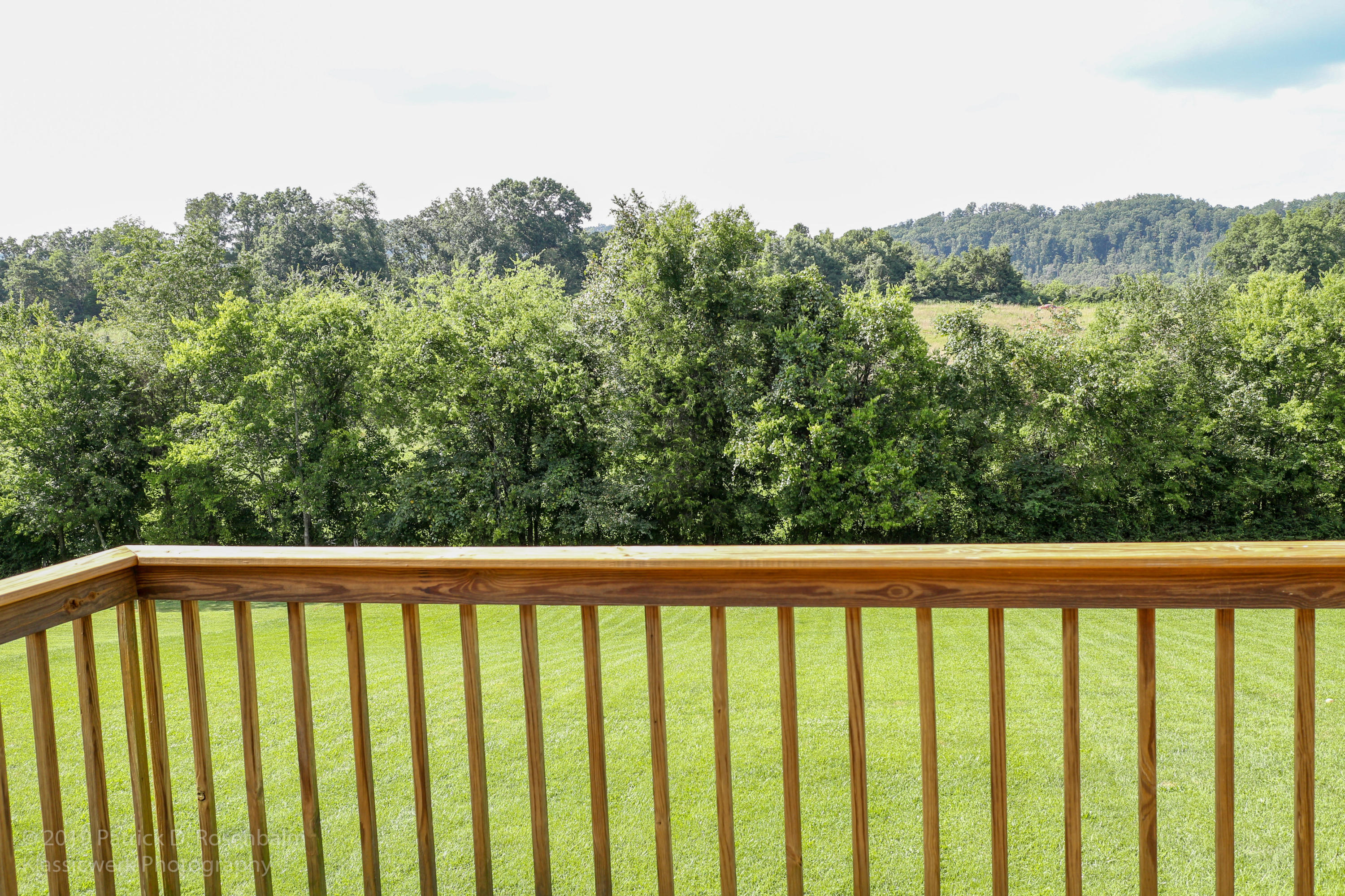 1314 Springview Circle Seymour, TN 37865 - Photo 35 of 37 Photo 25