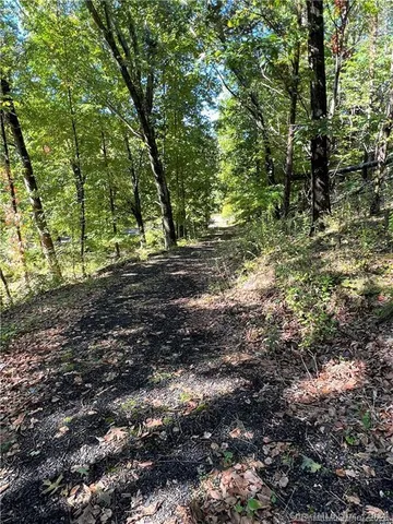 a view of a yard with plants and large trees