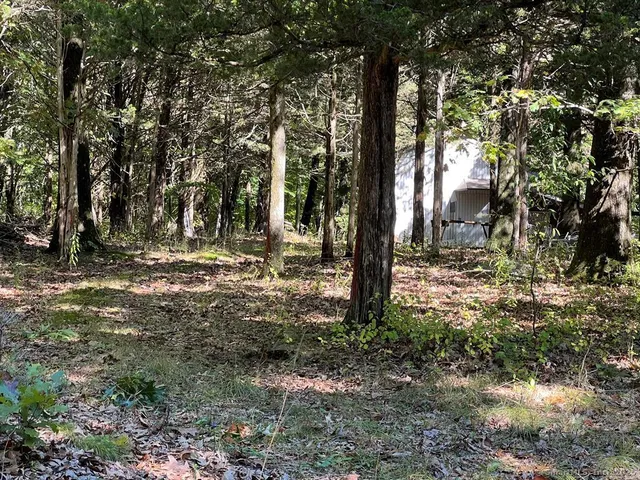 a view of outdoor space with lots of trees