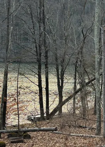 a view of a tree in front of a yard
