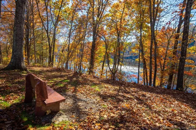a view of a yard with trees