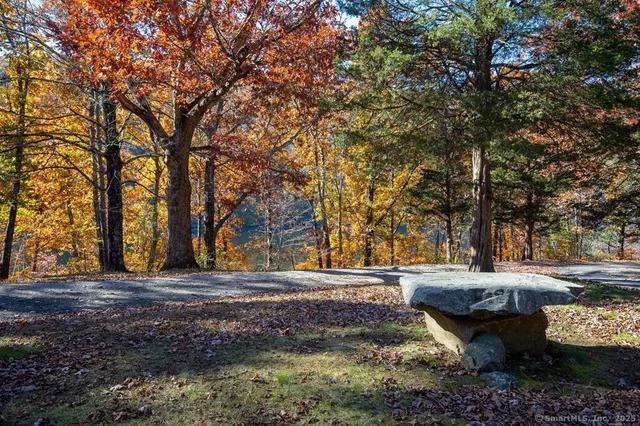 a view of a backyard with large trees