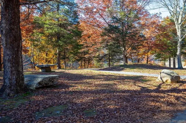 a view of road with large trees