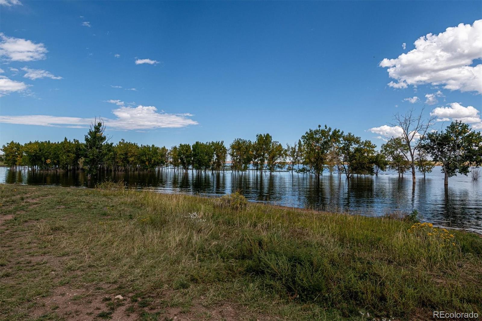 8457 South Reed Street, Unit 1102 Littleton, CO 80128 - Photo 22 of 23 Gallery Image 22