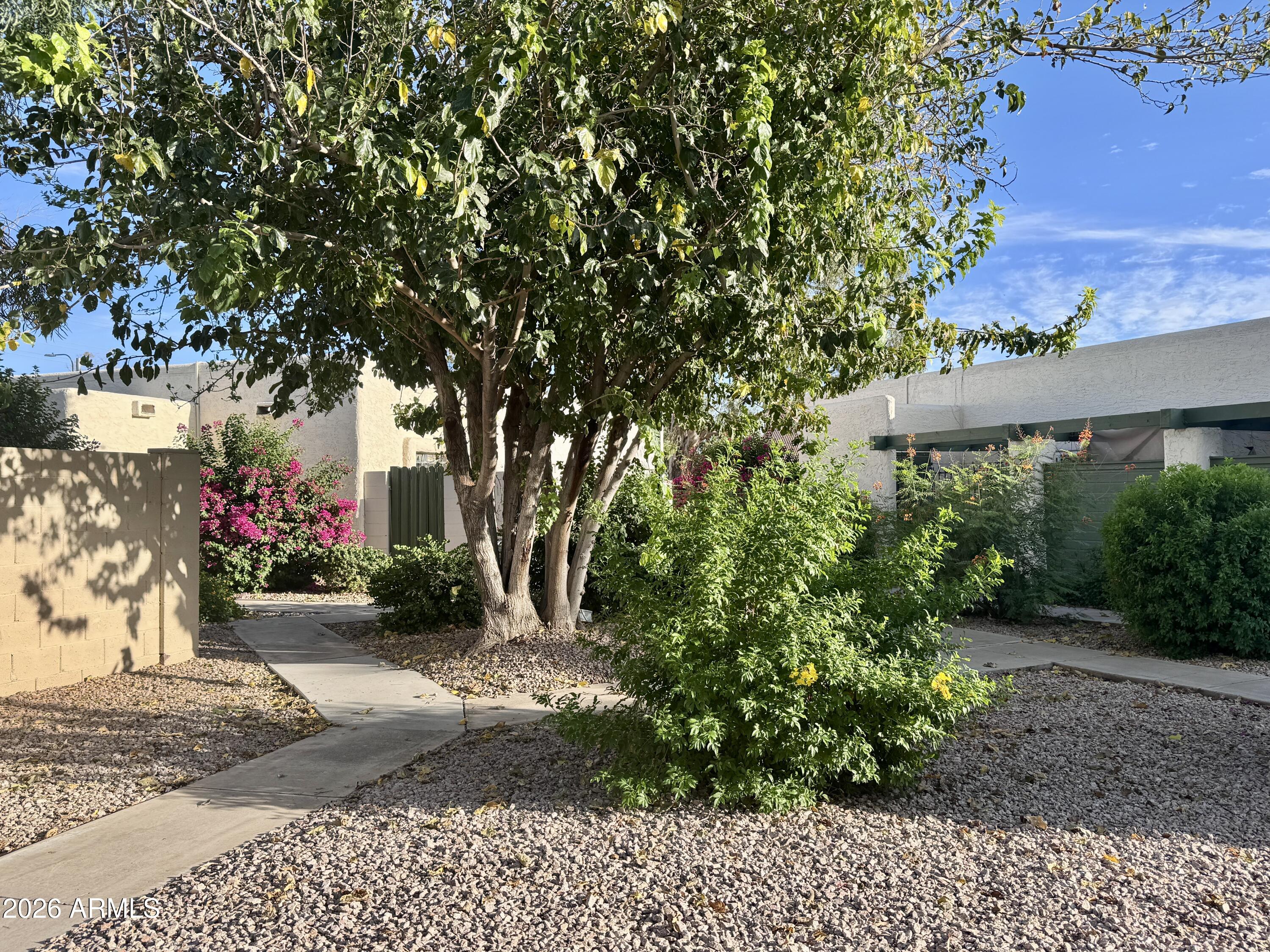 606 South Evergreen Road Tempe, AZ 85288 - Photo 17 of 17 IMG_3698