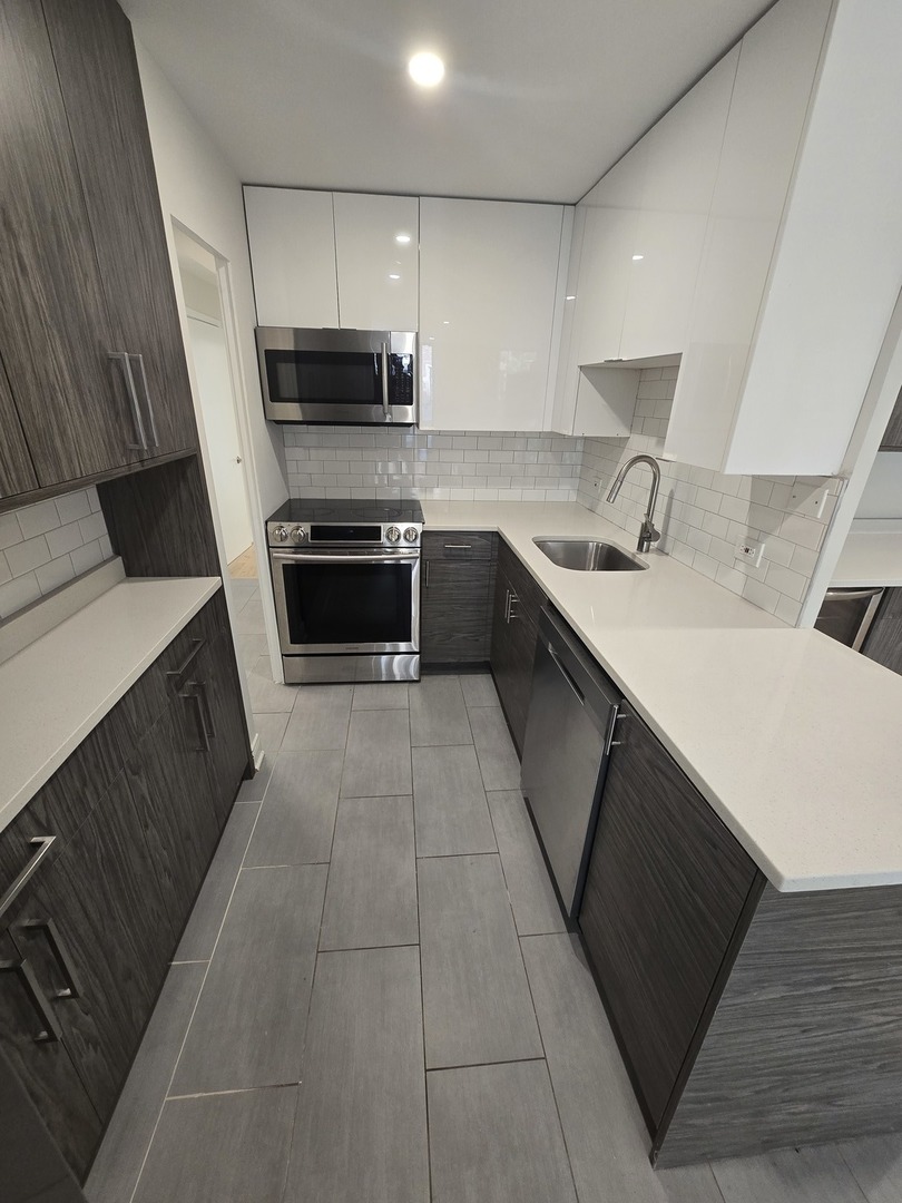 227 East Walton Place, Unit 3W Chicago, IL 60611 - Photo 5 of 15 a kitchen with a sink a stove and oven