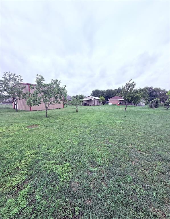 202 Castle Ridge Red Oak, TX 75154 - Photo 28 of 35 Fruit trees from back fence