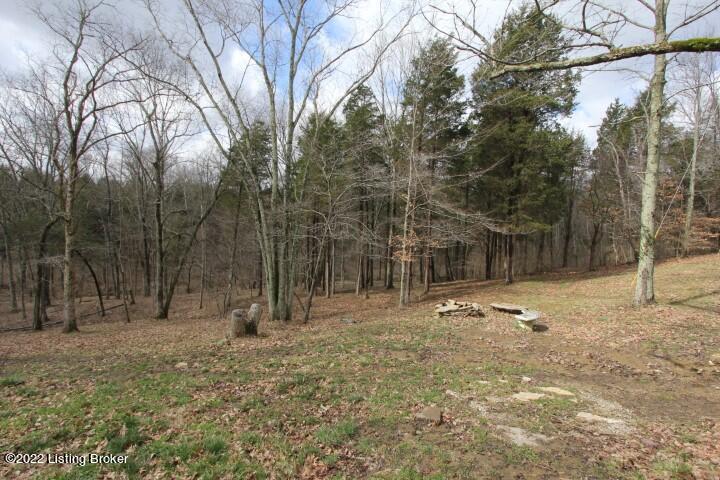 1000 Deer Run Road Lawrenceburg, KY 40342 - Photo 39 of 41 IMG_4011 (Small)